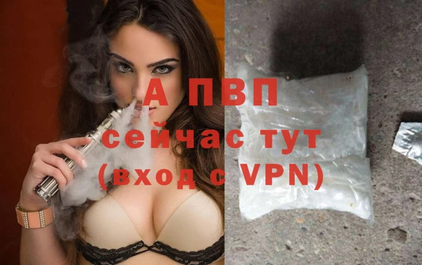 шишки Наволоки